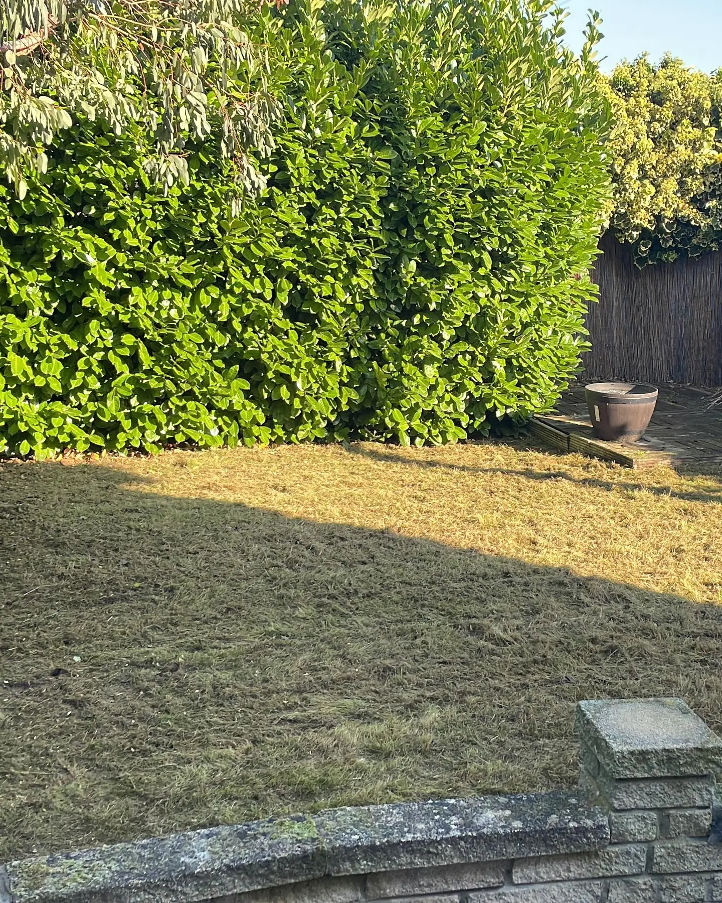 CLEARANCE & GRASS CUT-after-image